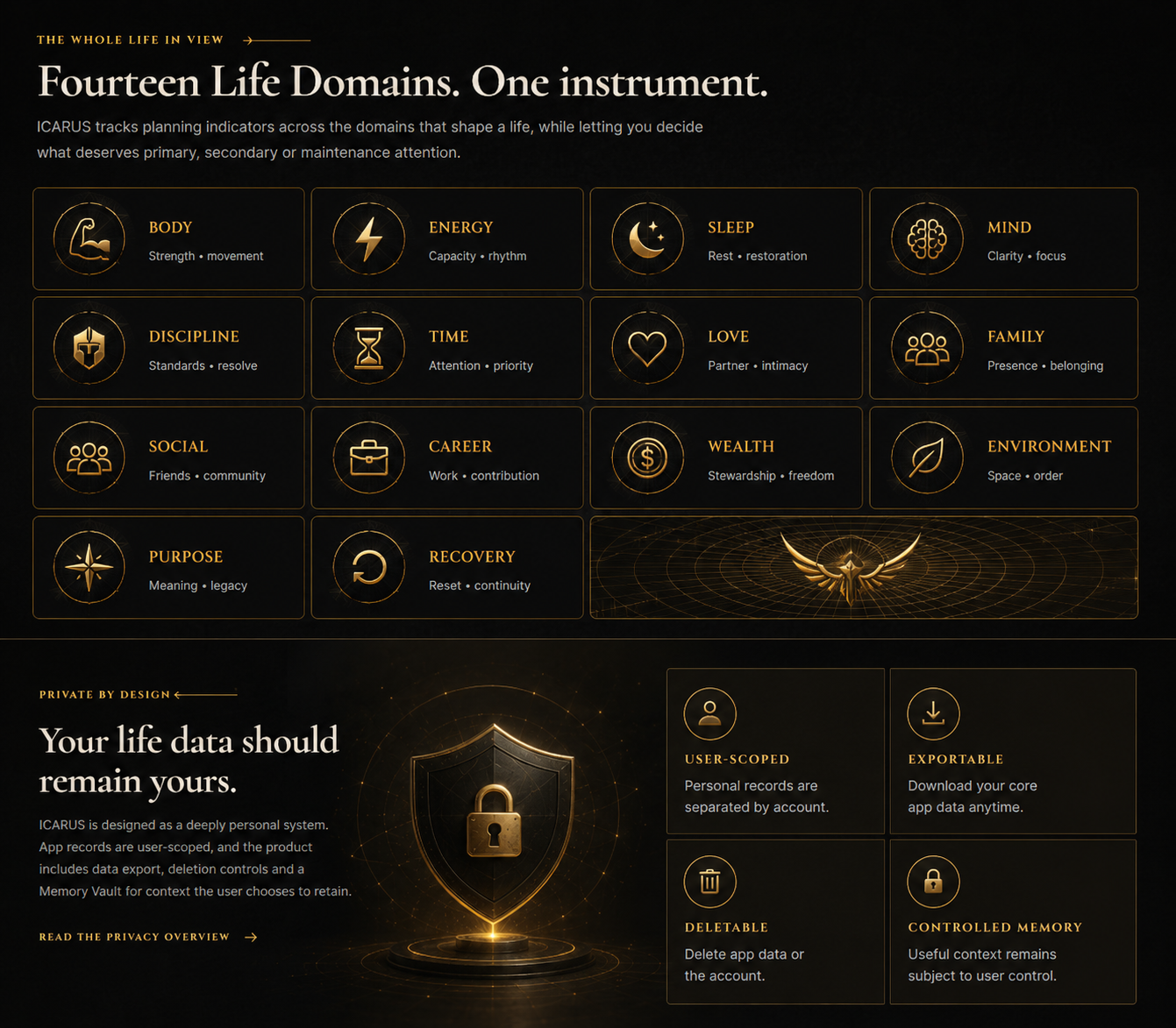 ICARUS privacy vault visual
